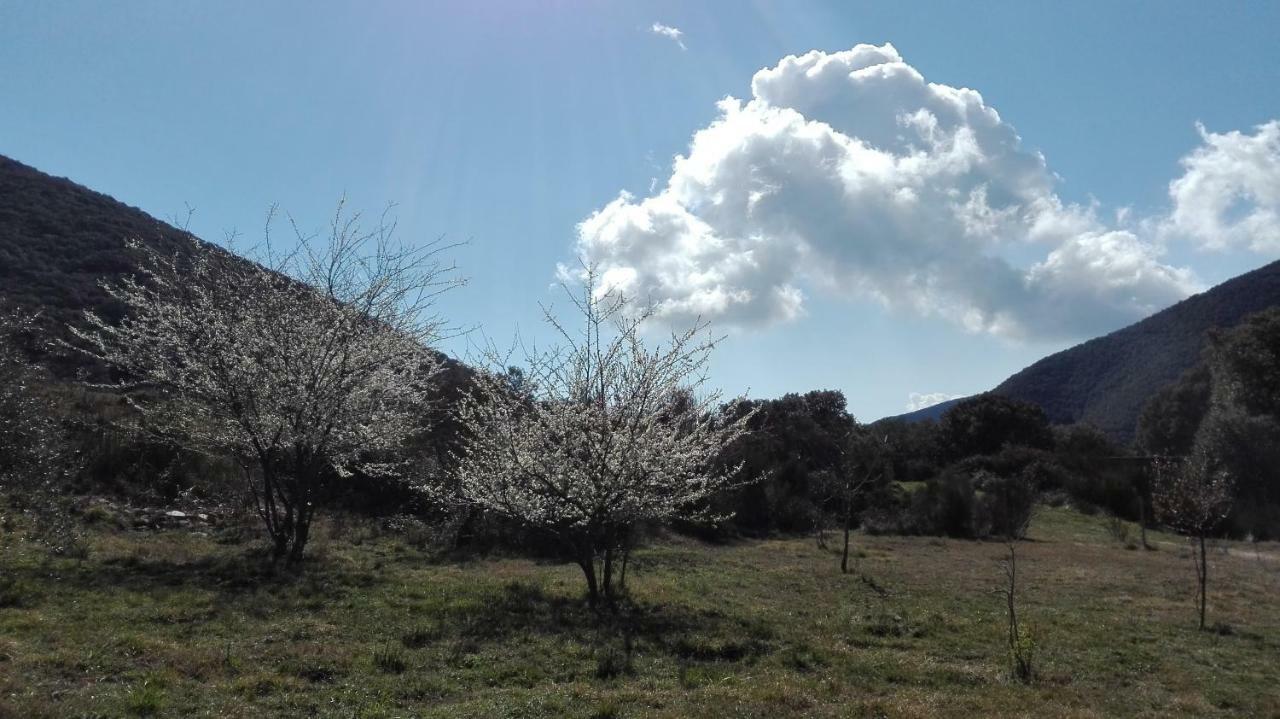 Masia De Vallforners Tagamanent Εξωτερικό φωτογραφία