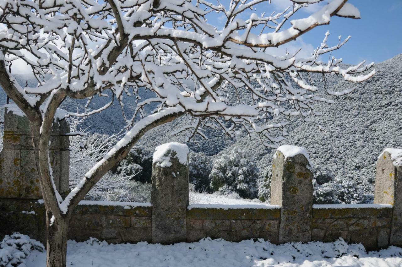 Masia De Vallforners Tagamanent Εξωτερικό φωτογραφία